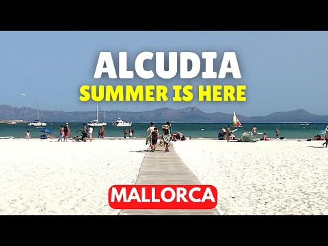 ALCUDIA, Mallorca - the best sight you'll see today?