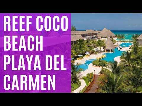 The Reef Coco Beach Resort in Playa Del Carmen - great all-inclusive family hotel  (2023)