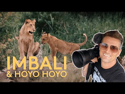 Luxury SAFARI in Kruger - IMBALI and HOYO HOYO (4K)