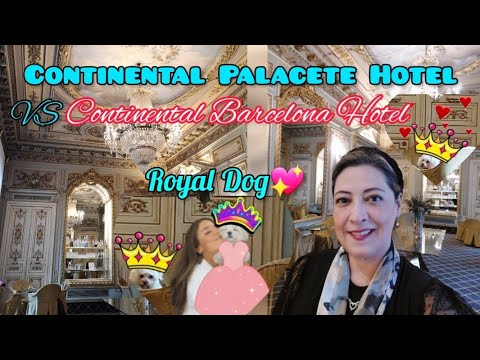 HOTEL CONTINENTAL PALACETE vs CONTINENTAL BARCELONA (Free Buffet and Pet friendly h.) SPAIN. España