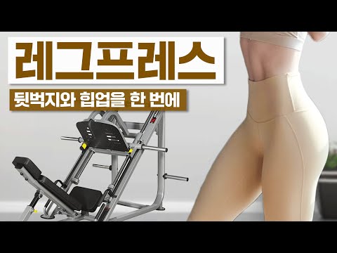 뒷벅지와 힙라인을 한번에! 레그프레스 운동법 How to leg press