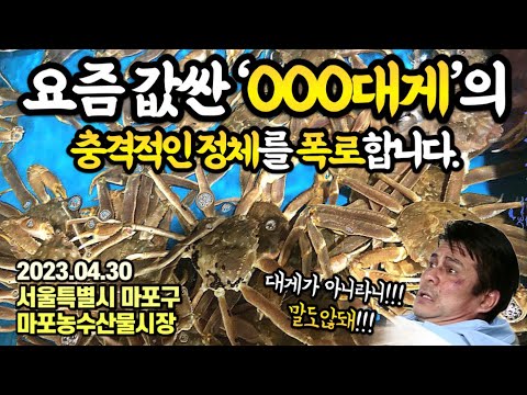 ”저기,이거 대게 아닌데요?“상인들도 업자들도 모르는,요즘 값싸게 팔리는 ‘OOO대게’의 놀라운 비밀 최초공개!!!