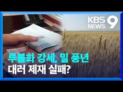 러시아, 루블화 가치 7년 만에 최고…밀 생산도 역대급 / KBS  2022.06.24.